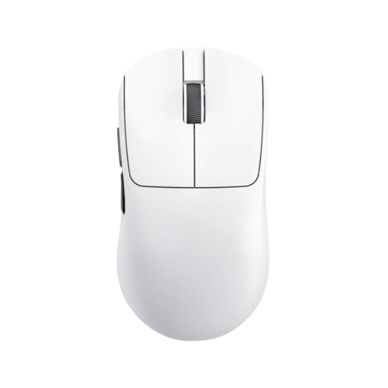 PHYLINA S480